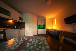 GottwaldHaus-Freiberg-Apartment / A